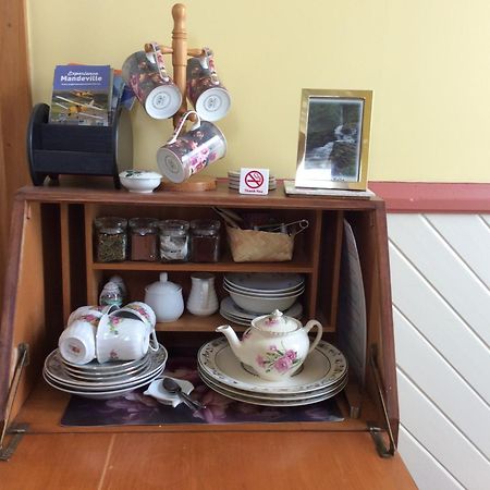 Catlins Retreat B & B Owaka Luaran gambar