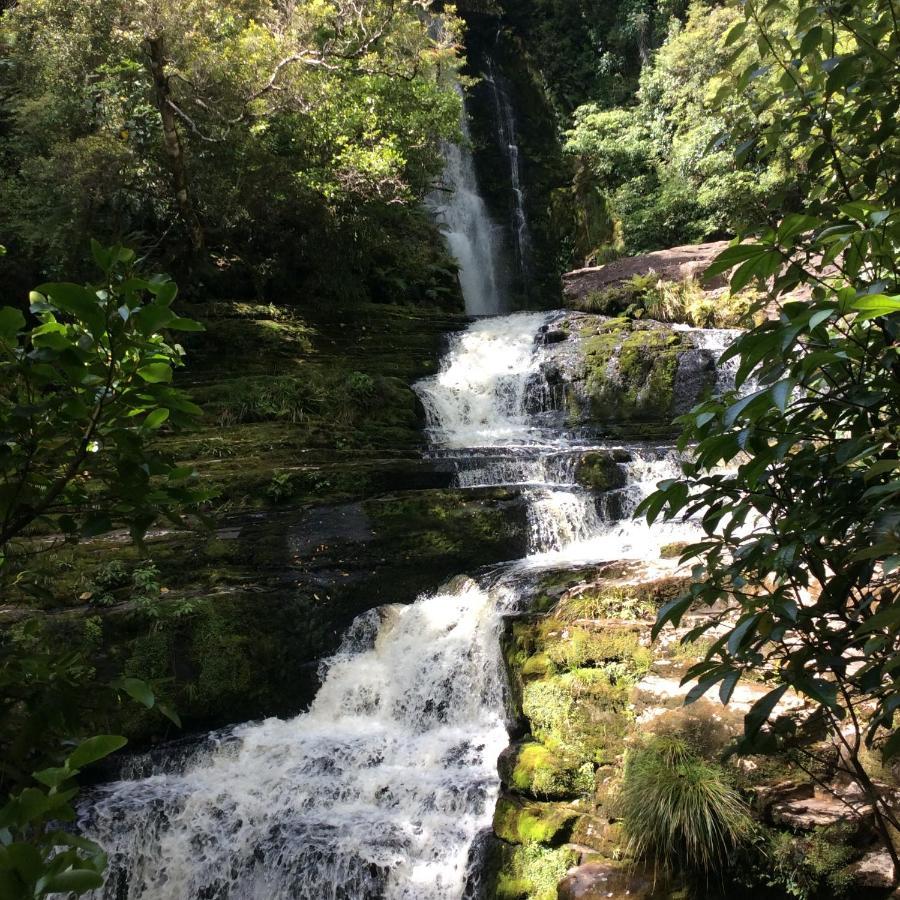 Catlins Retreat B & B Owaka Luaran gambar