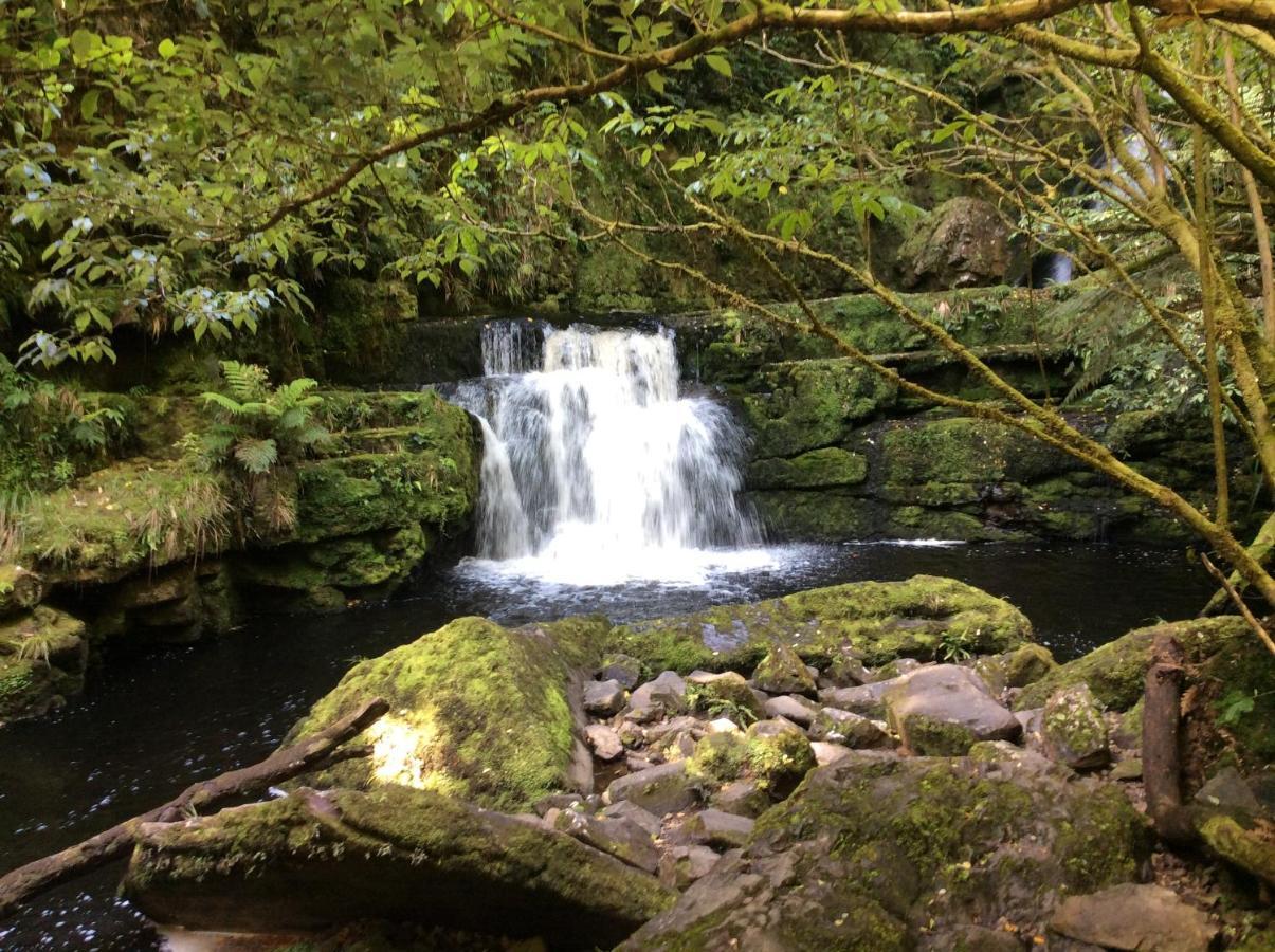 Catlins Retreat B & B Owaka Luaran gambar